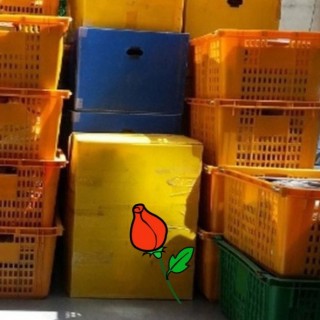 은평구원룸이사 #6