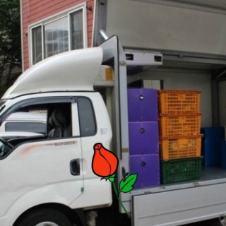 은평구원룸이사 #8